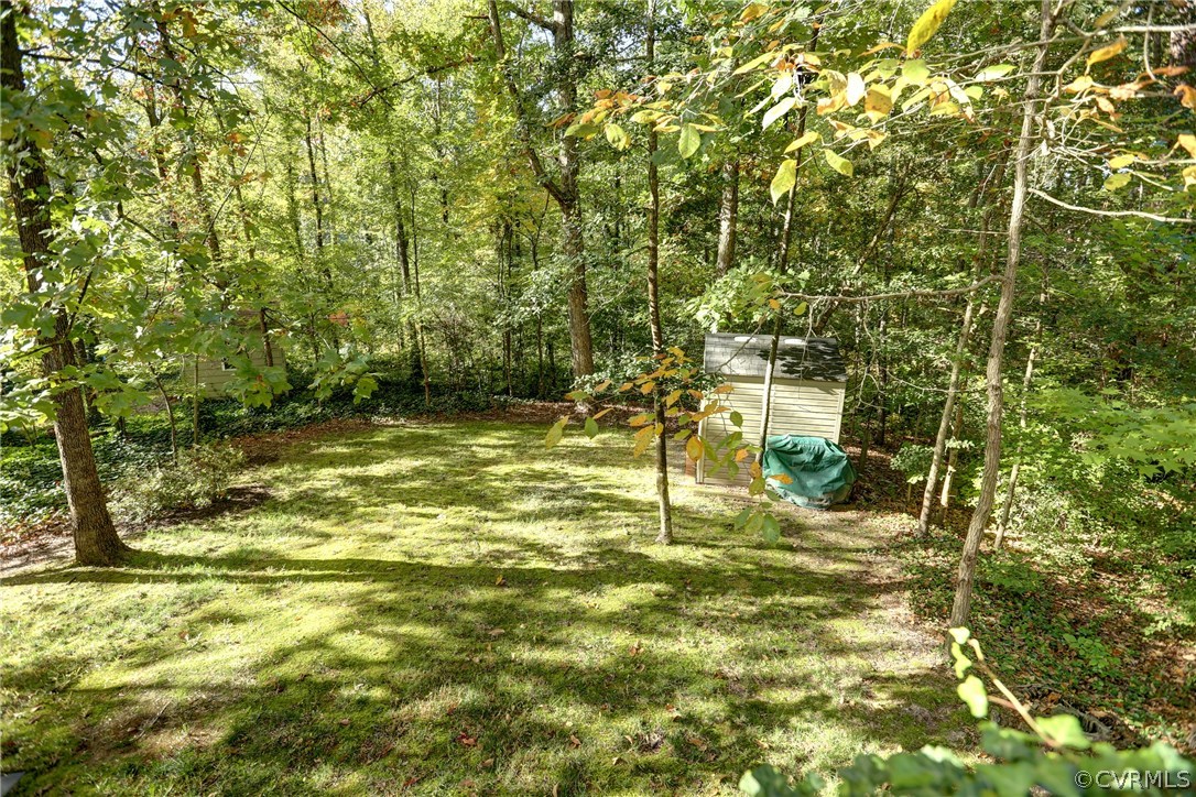 13301 Court Ridge Road Midlothian, VA 23112 - Photo 24 of 24 a swimming pool with trees in the background