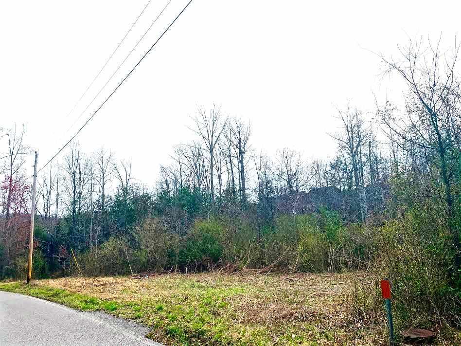 Eaves Ferry Road Decatur, TN 37322 - Photo 1 of 2 20201292_0