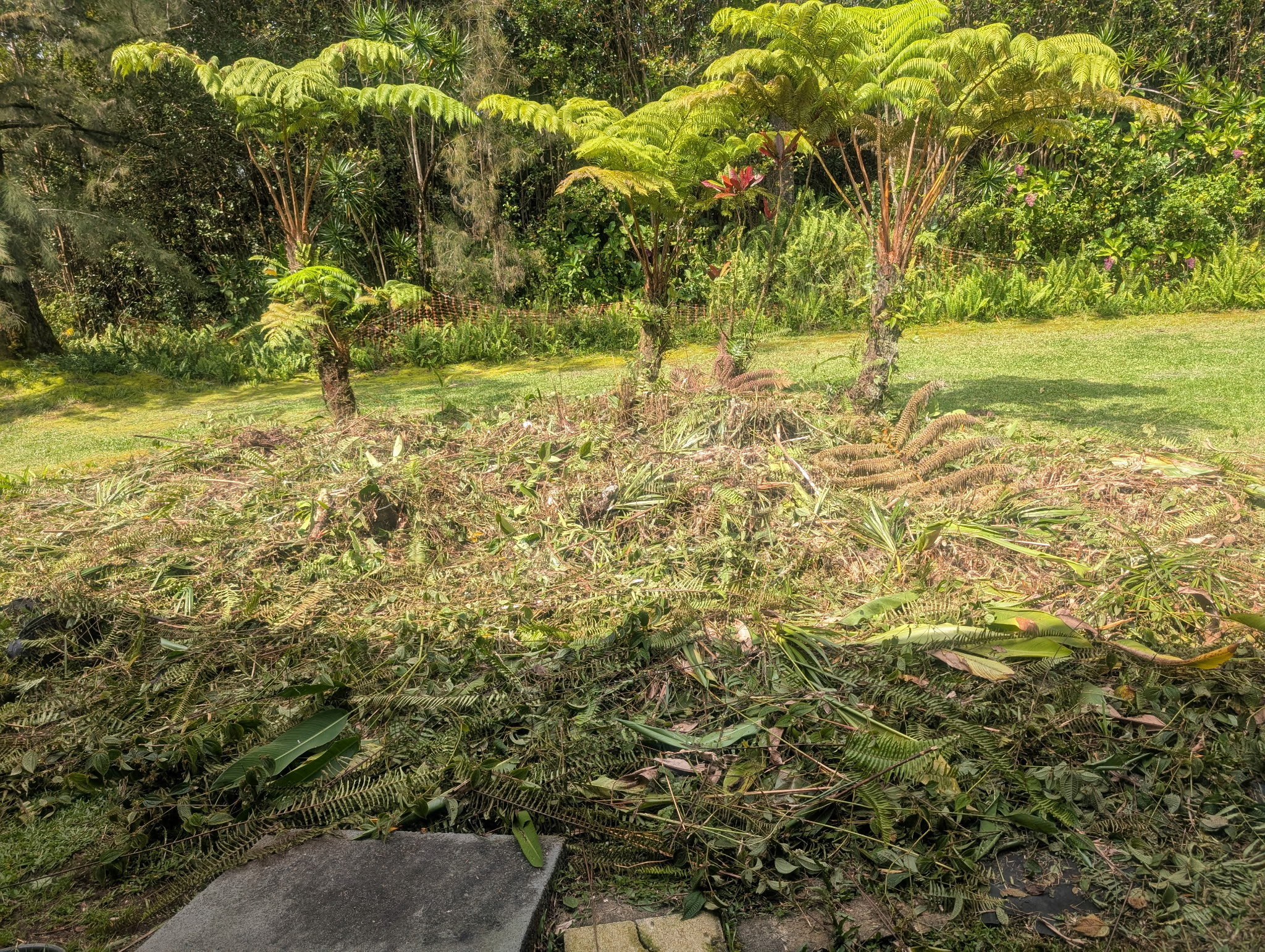 16-1248 Uhini Ana Road Mountain View, HI 96771 - Photo 23 of 25 Gallery Image 23