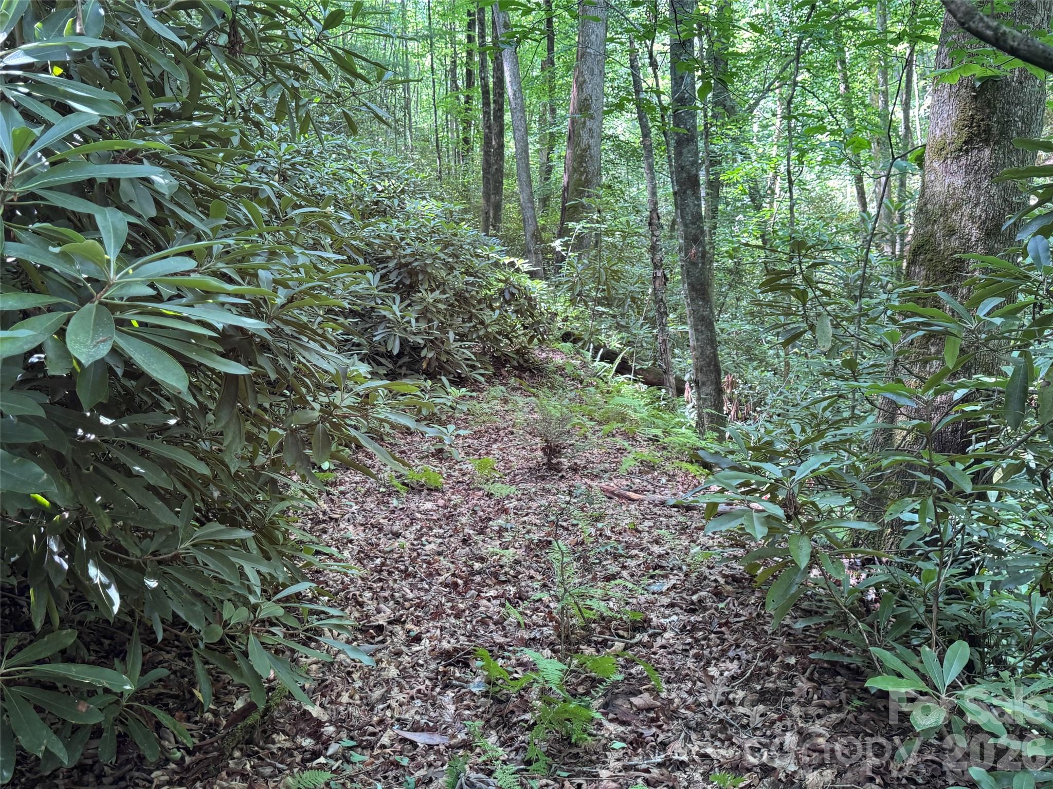 10 A Reserve Road Pisgah Forest, NC 28768 - Photo 9 of 33