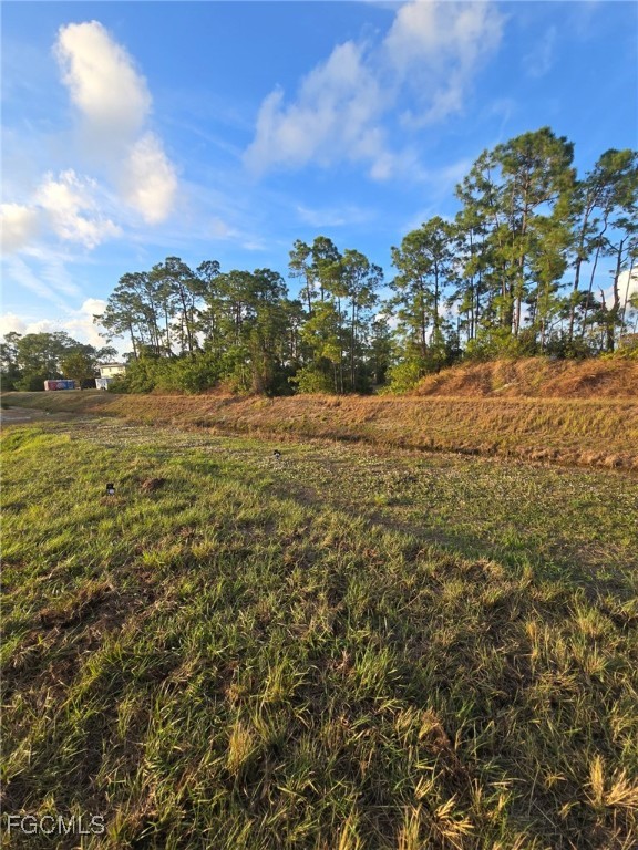 3101 Inez Avenue South Lehigh Acres, FL 33976 - Photo 20 of 20