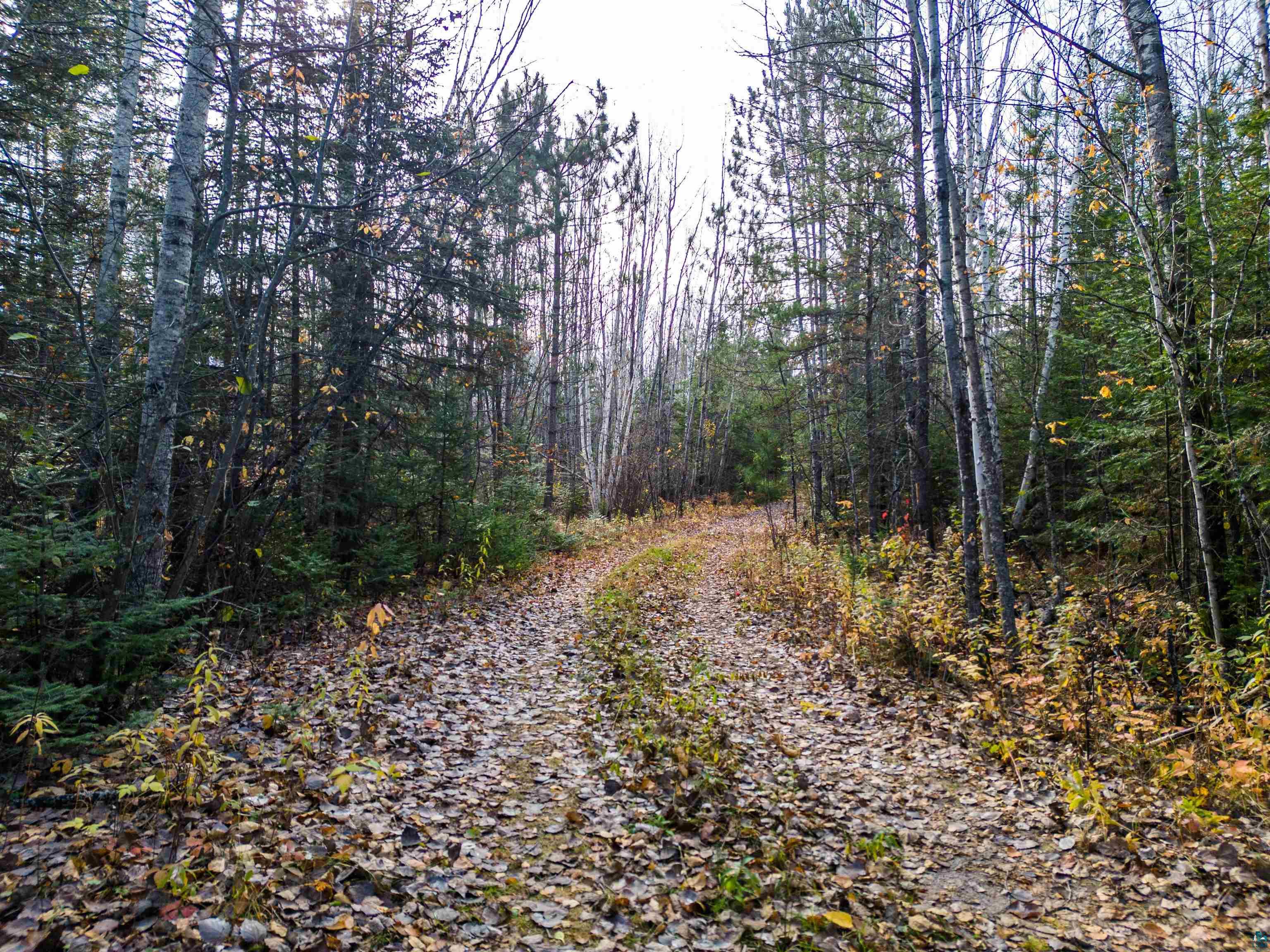Tbd Town Line Road Hibbing, MN 55746 - Photo 4 of 11 View of road