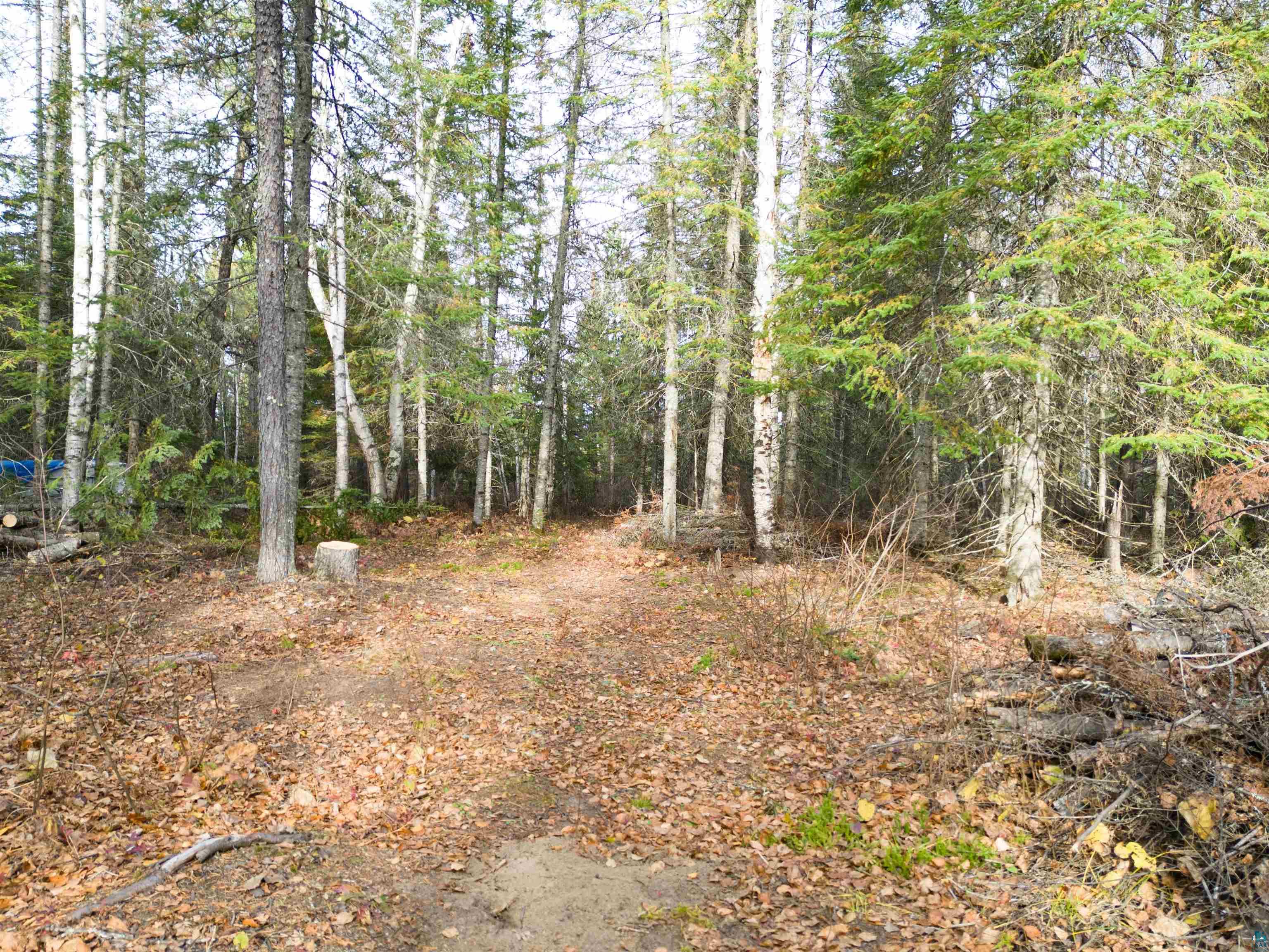 Tbd Town Line Road Hibbing, MN 55746 - Photo 5 of 11 View of nature