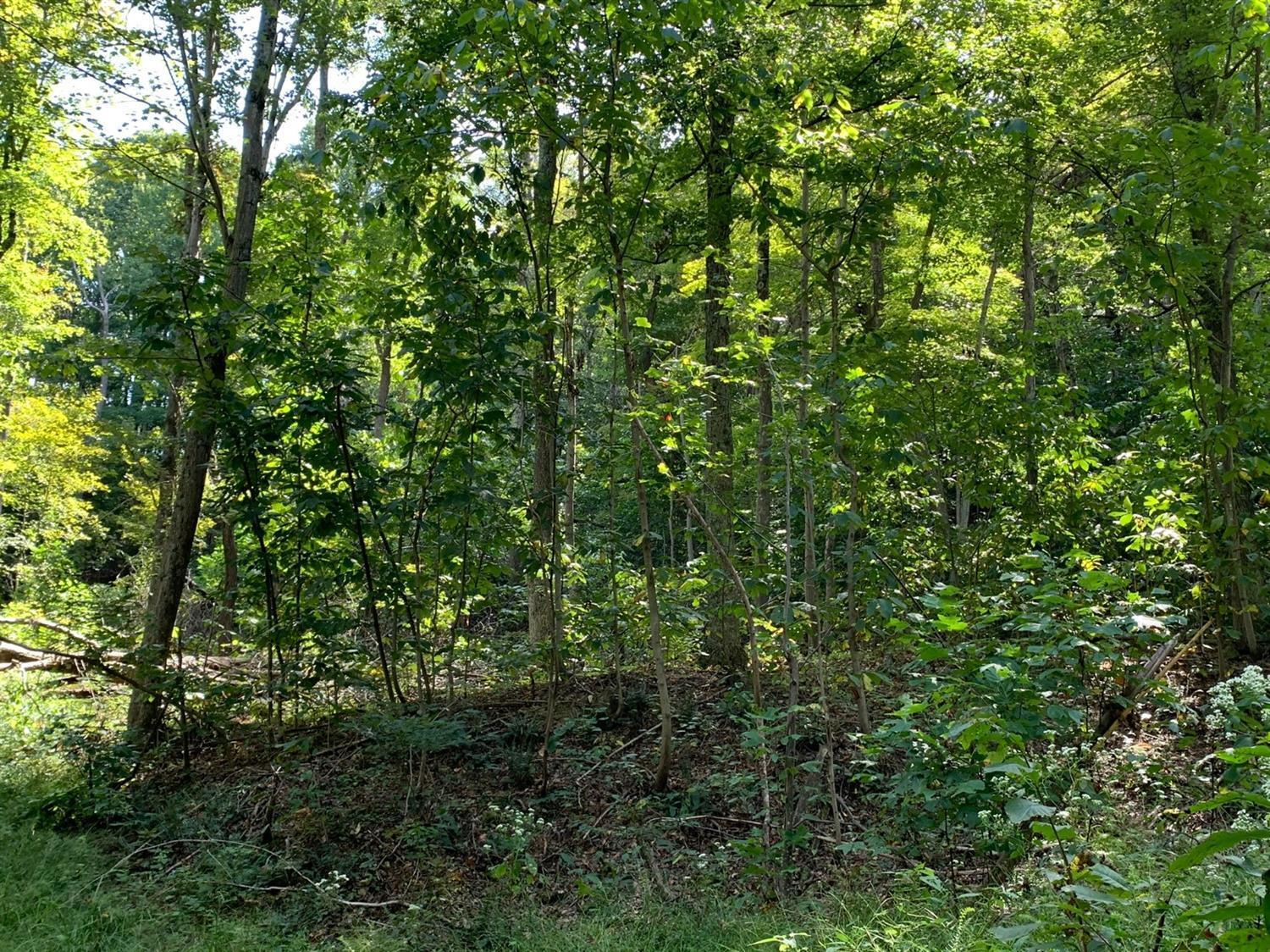 A Phipps Road Lucasville, OH 45648 - Photo 10 of 36 Gallery Image 10