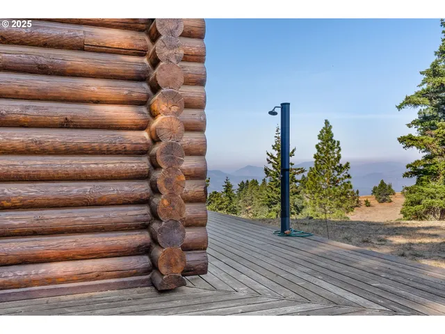 a view of house with outdoor space and trees in the background