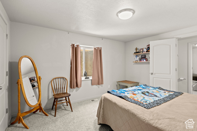 135 Cove Drive Elk Ridge, UT 84651 - Photo 36 of 45 Basement Bedroom
