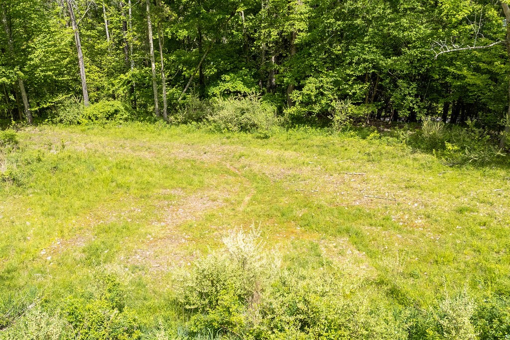 1361 Weaver Hollow Road Andes, NY 12455 - Photo 19 of 23