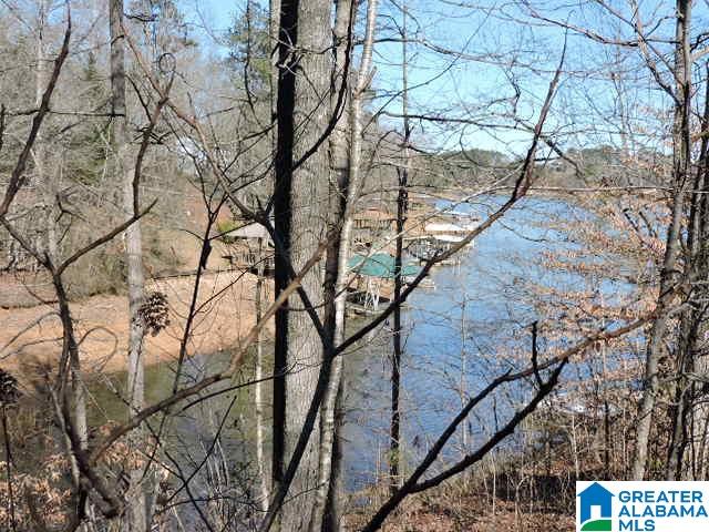 Meadowlane Drive Wedowee, AL 36278 - Photo 1 of 5
