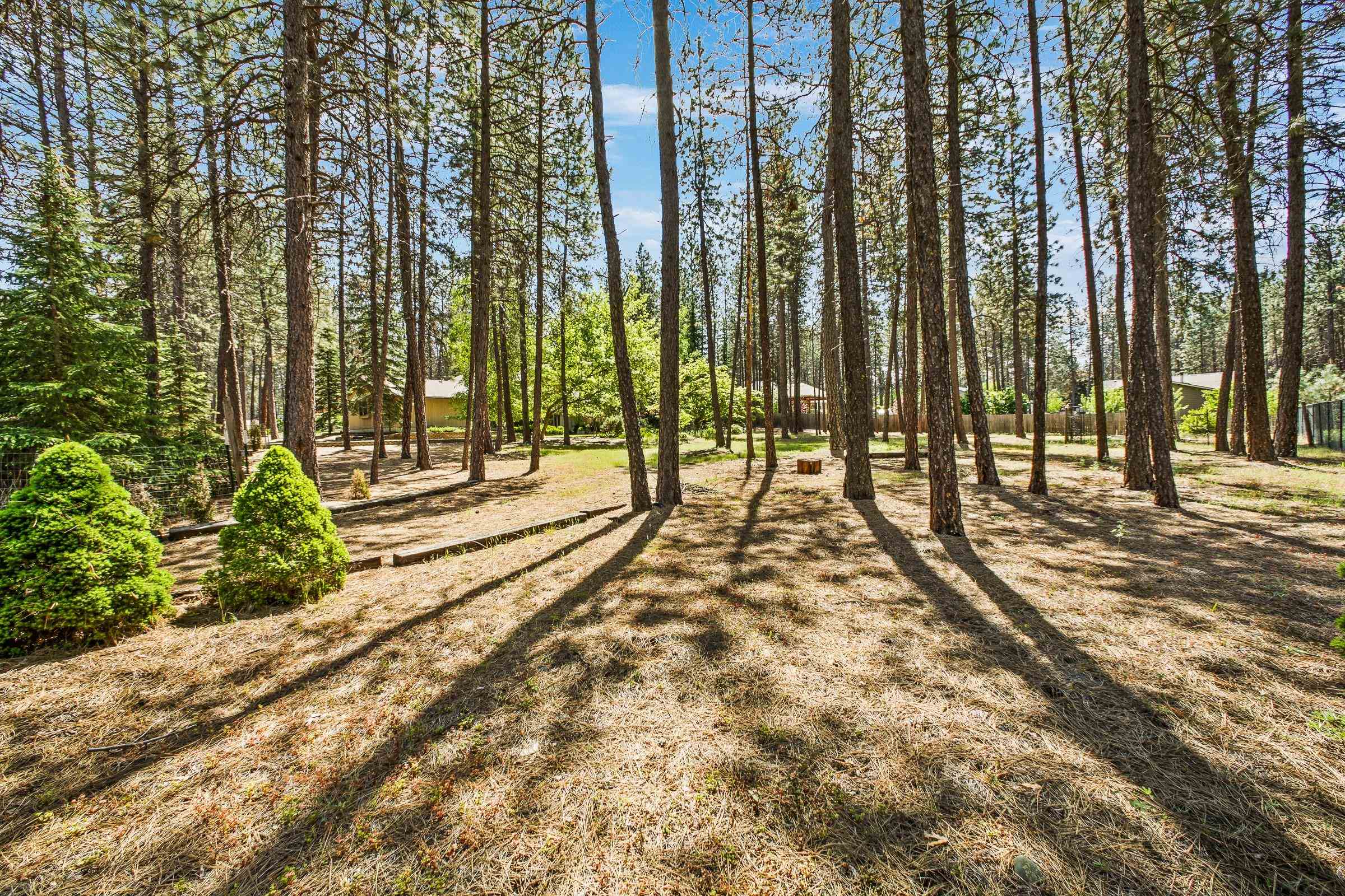 17315 North Ranchette Road Colbert, WA 99005 - Photo 33 of 44