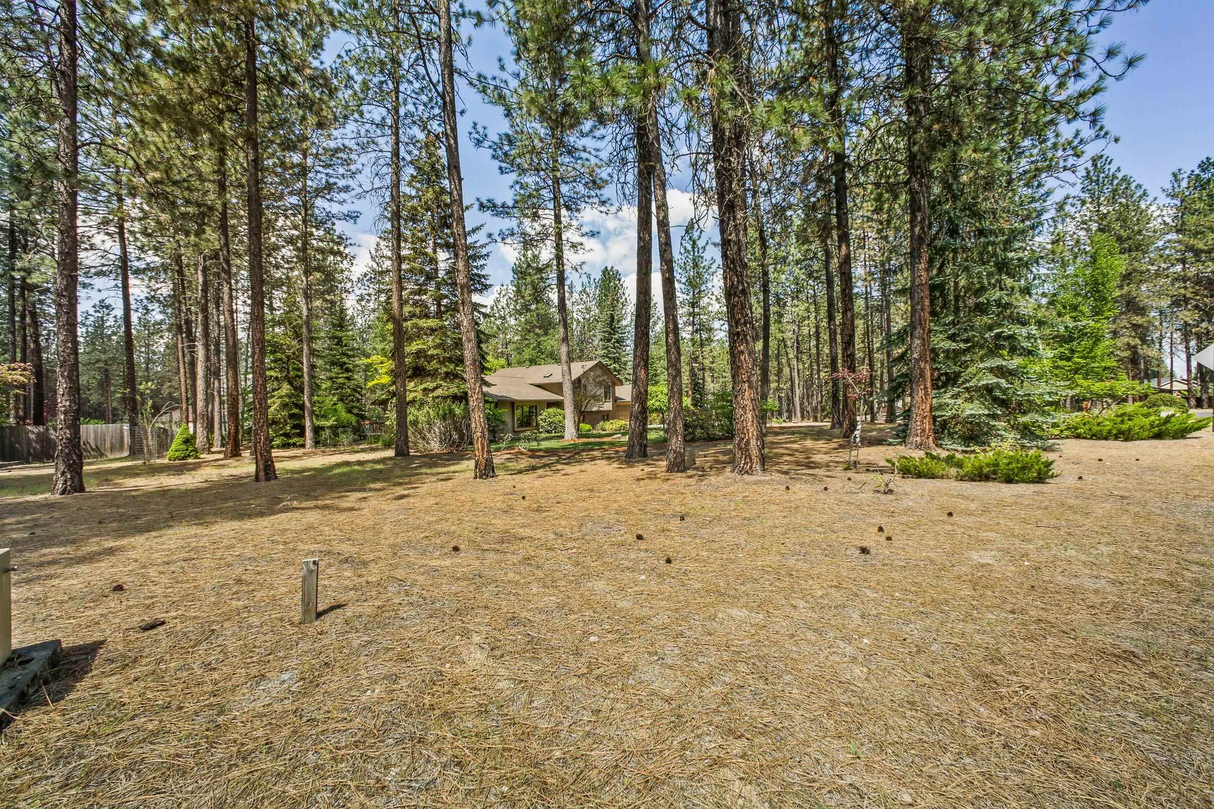 17315 North Ranchette Road Colbert, WA 99005 - Photo 10 of 44