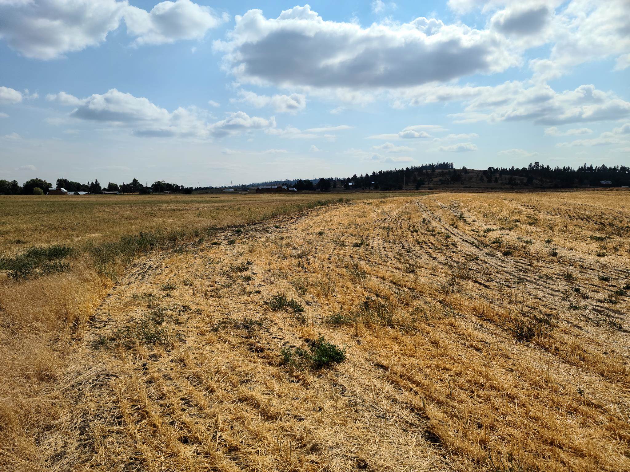 Undisclosed Address Spokane, WA 99224 - Photo 5 of 14