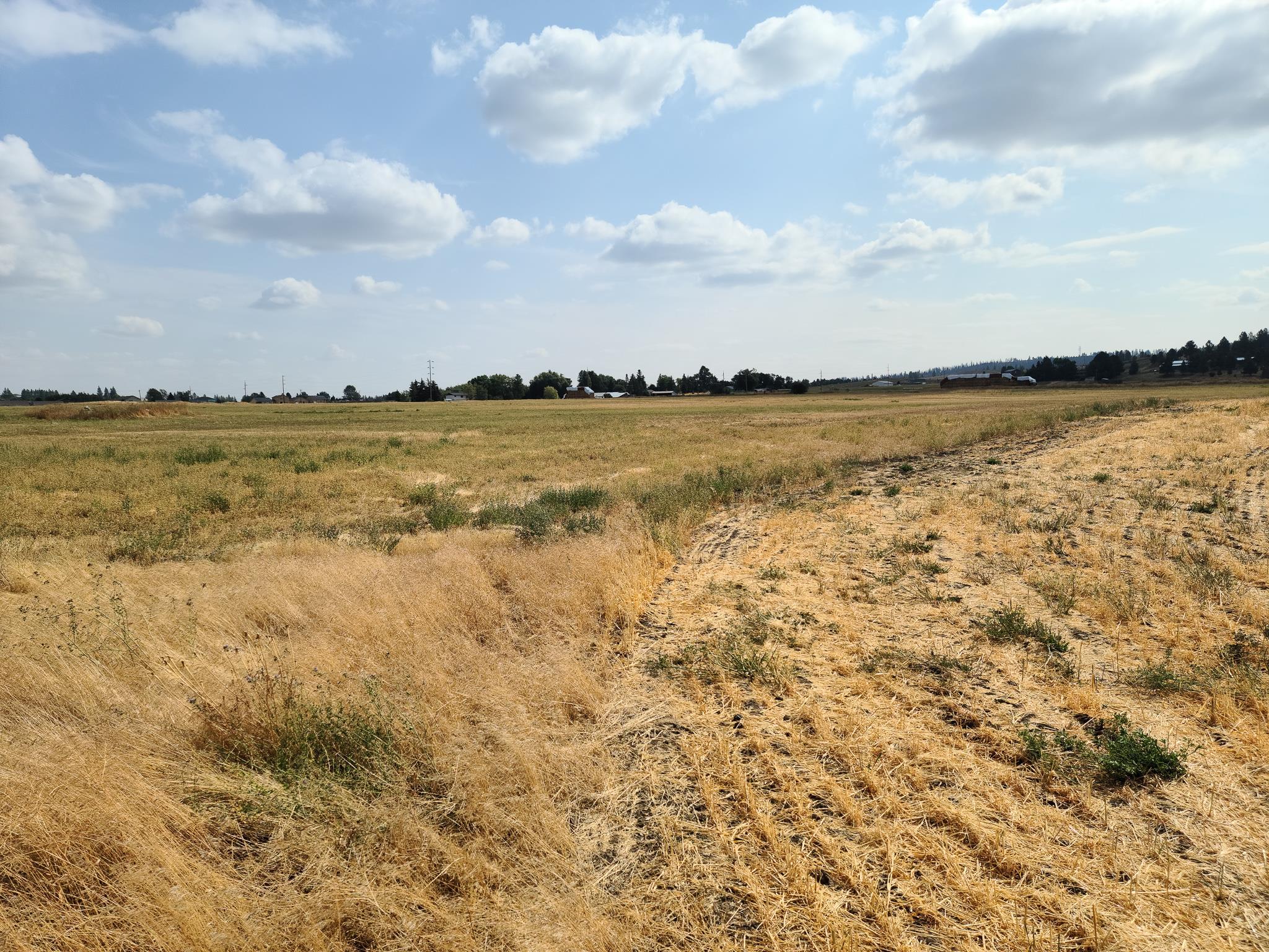 Undisclosed Address Spokane, WA 99224 - Photo 6 of 14