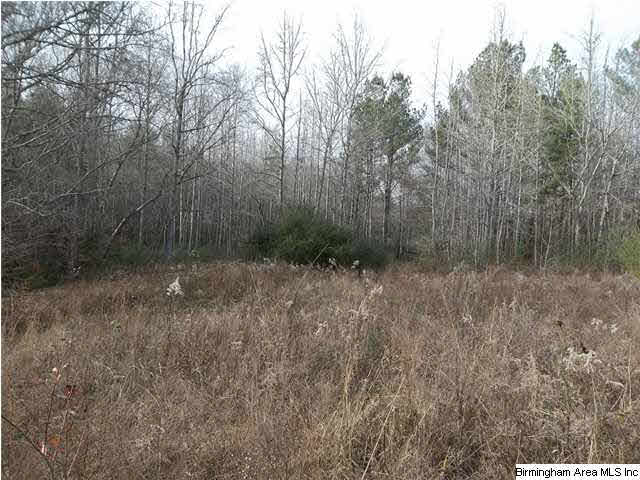Turkey Pen Road, Unit 1 Cragford, AL 36255 - Photo 5 of 6