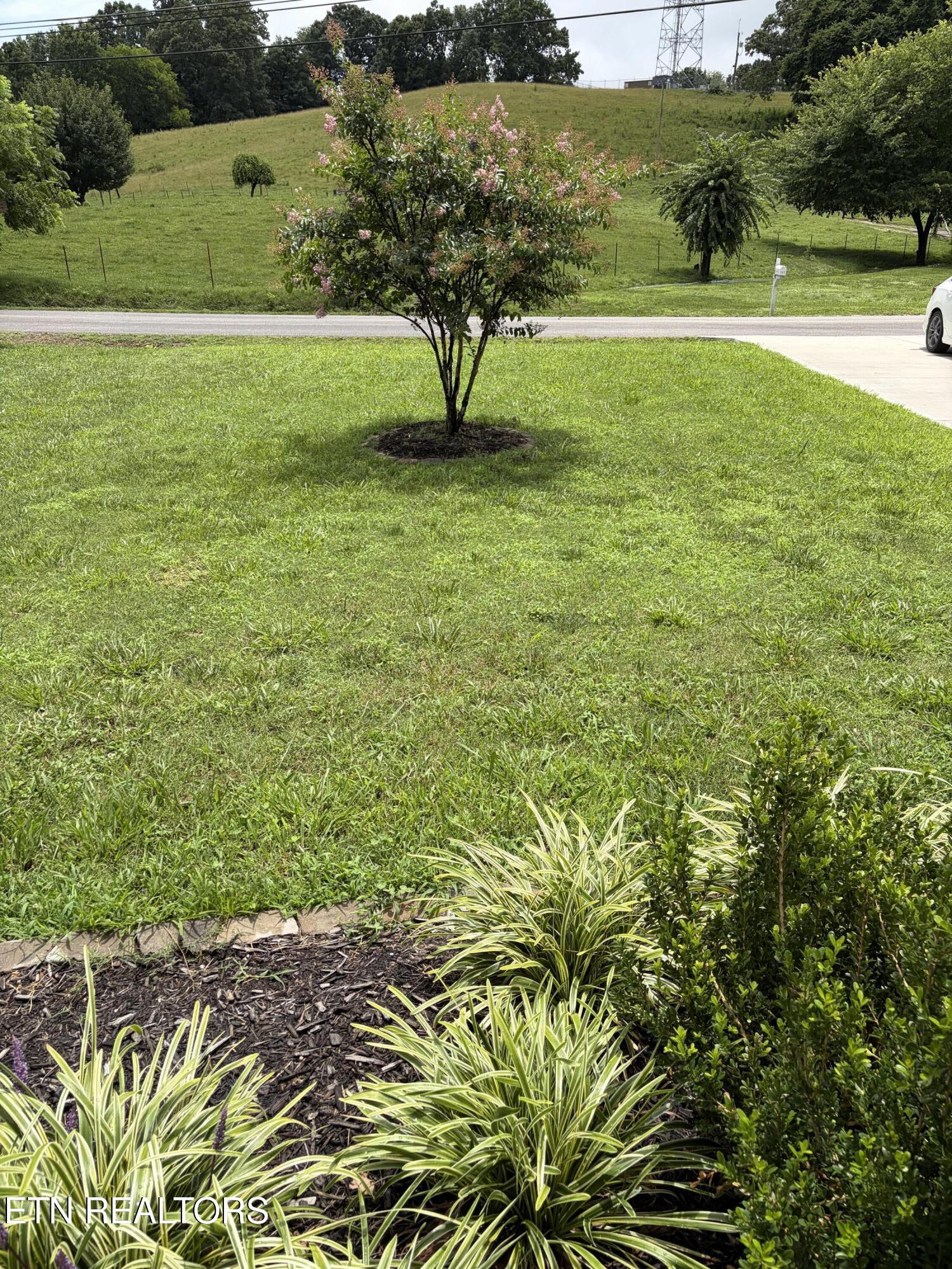 762 Hillvale Road Andersonville, TN 37705 - Photo 4 of 27 (Upload-from-mobile-1782692154)IMG_5666