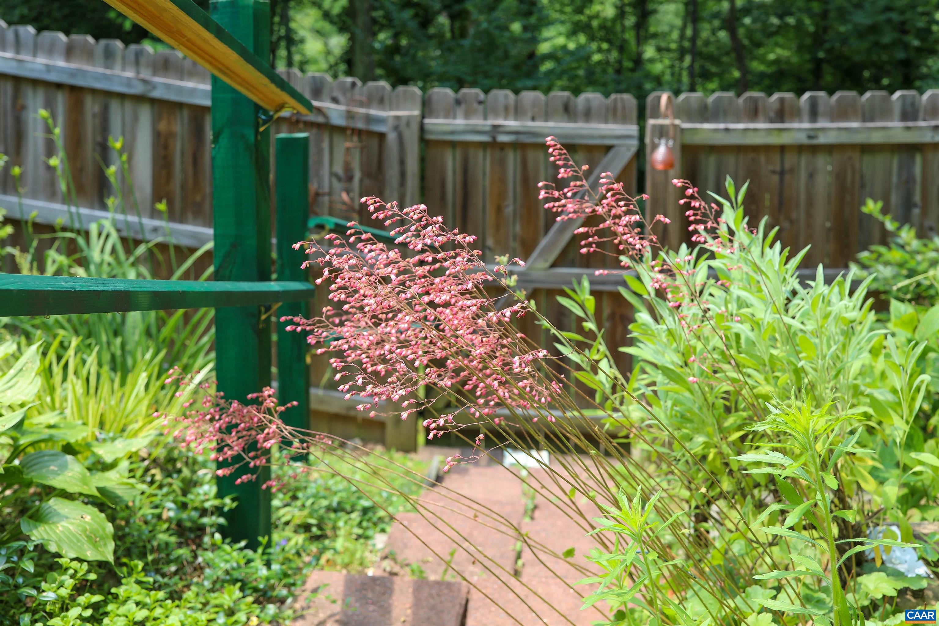 Undisclosed Address Charlottesville, VA 22902 - Photo 34 of 49 a view of a garden with plants