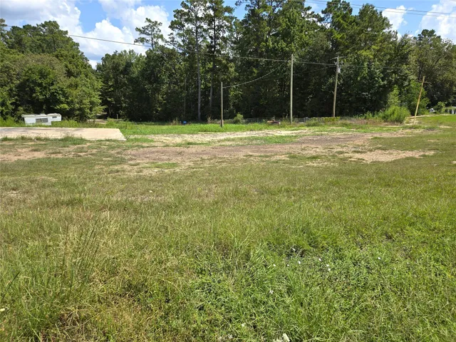 a view of a three ground with large trees