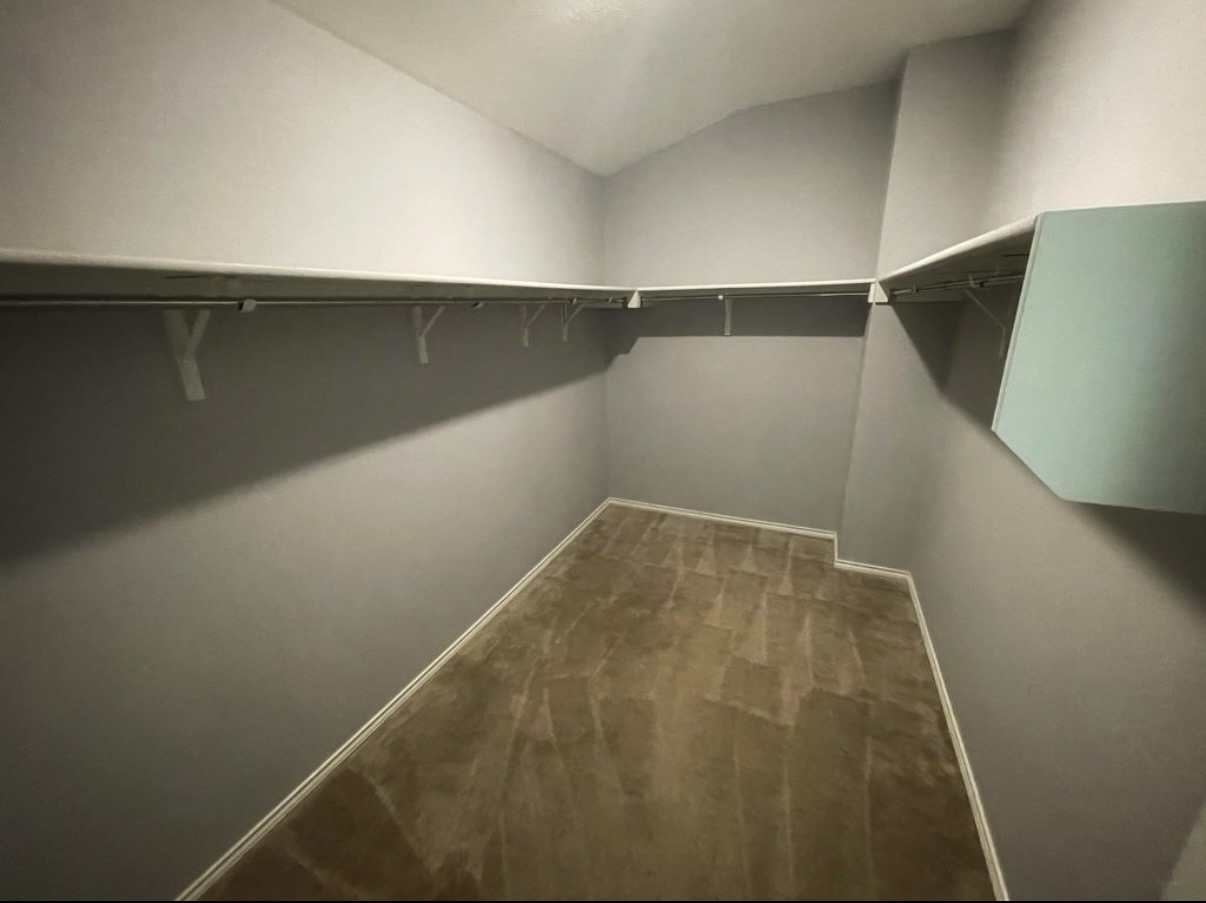13905 Inaugural Street Manor, TX 78653 - Photo 17 of 26 Walk in closet featuring vaulted ceiling and carpet