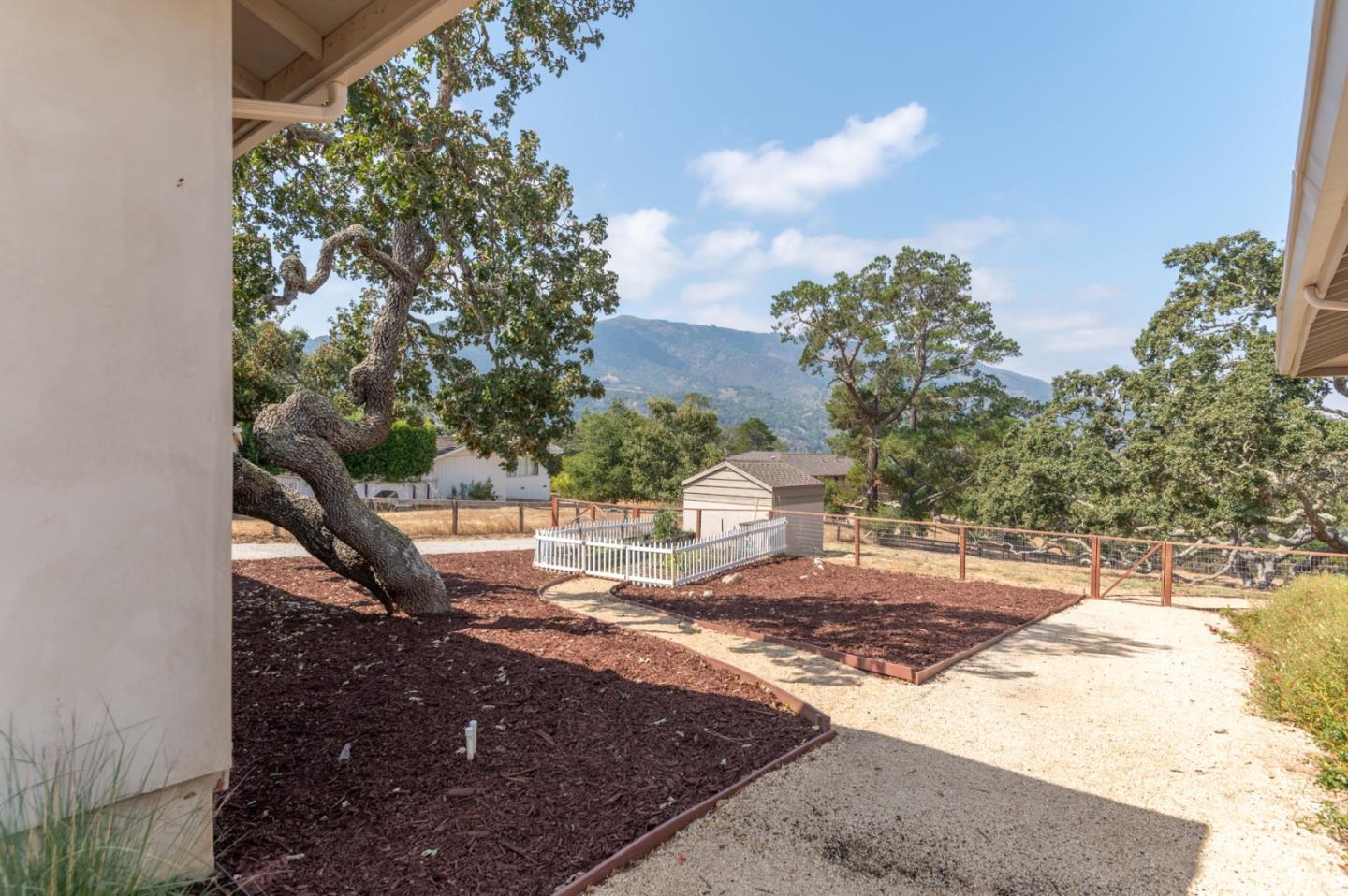 66 Rancho Road Carmel Valley, CA 93924 - Photo 49 of 59 a view of a yard with a tree