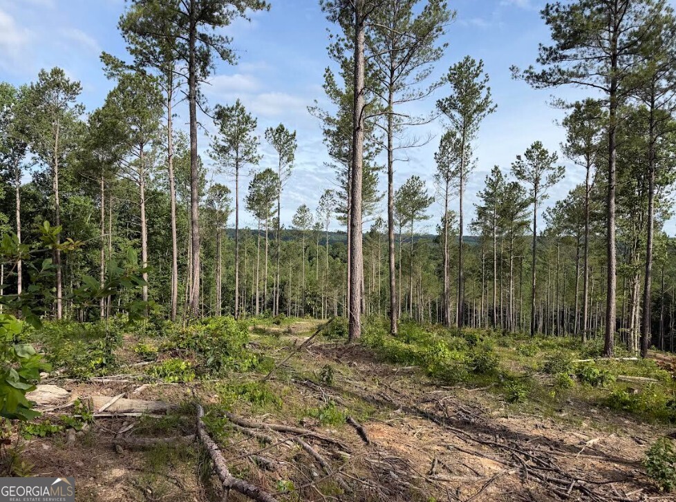 0 Mt Sinai Road, Unit LOT 2 Lula, GA 30554 - Photo 46 of 68
