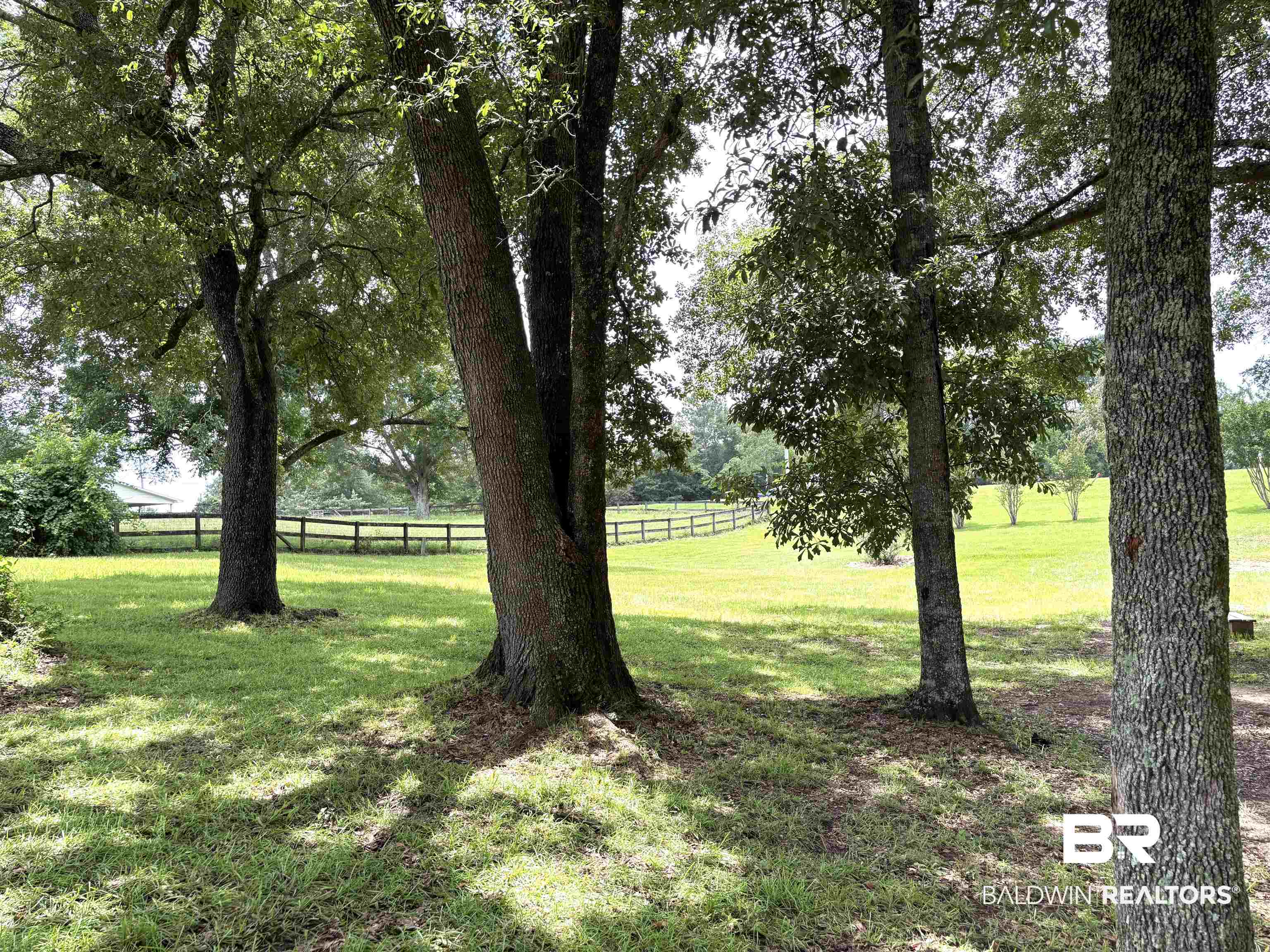35650 Spring Road North Stapleton, AL 36578 - Photo 59 of 70 View of yard