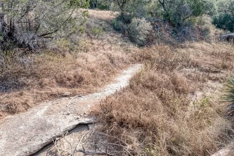 a view of a dry yard with trees in the background