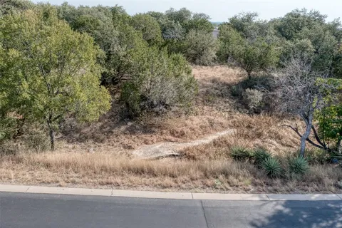 a view of a dry forest with trees