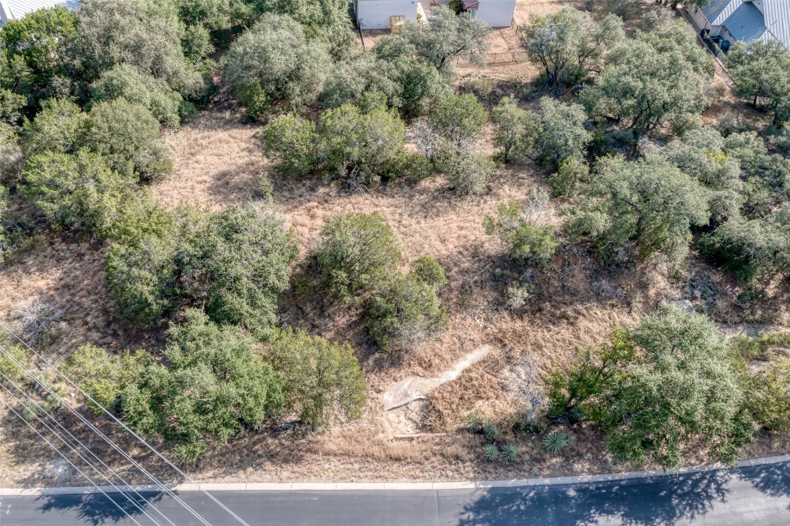 Tbd Hi Circle North Horseshoe Bay, TX 78657 - Photo 8 of 19 a view of a forest with plants