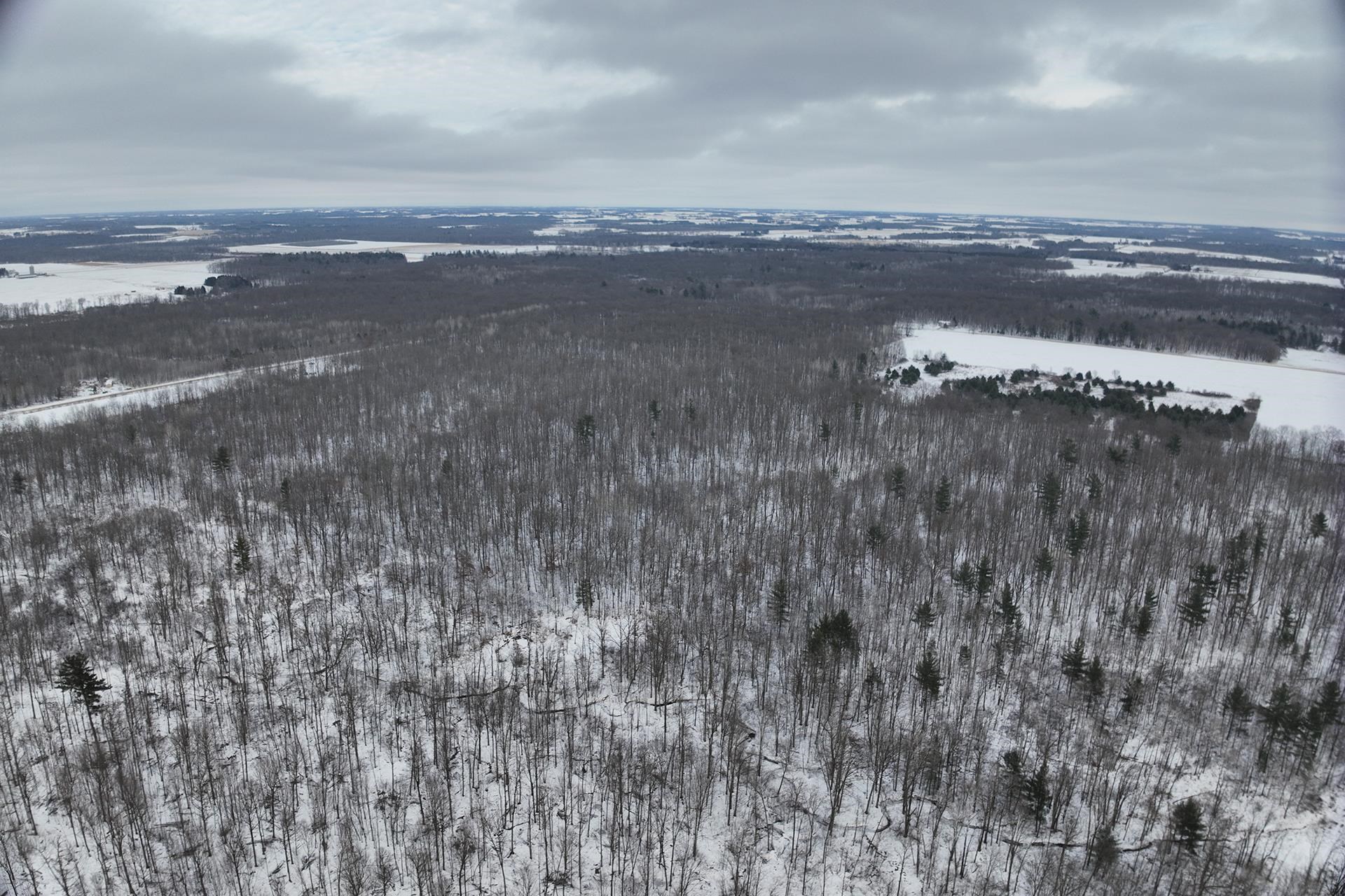 65.32-acres Bobwhite Road Neillsville, WI 54456 - Photo 5 of 26