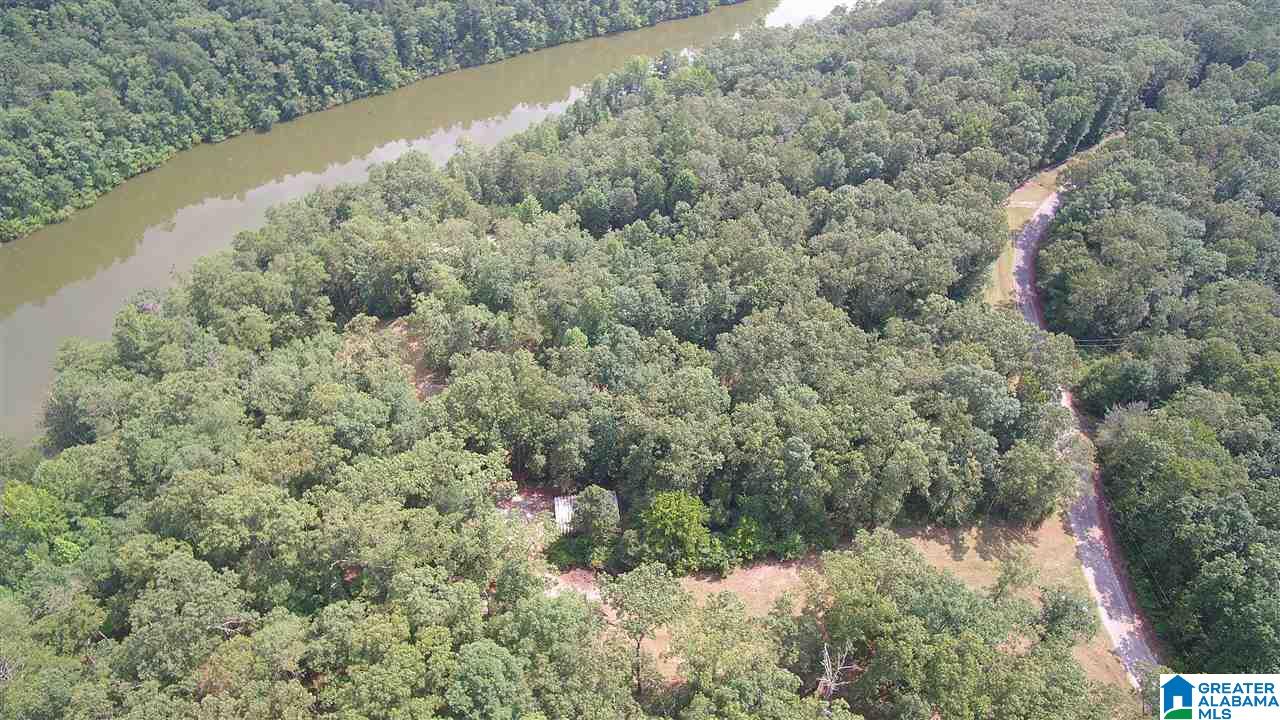 Lot 3 Harbour Point Drive, Unit 3 Delta, AL 36258 - Photo 7 of 7