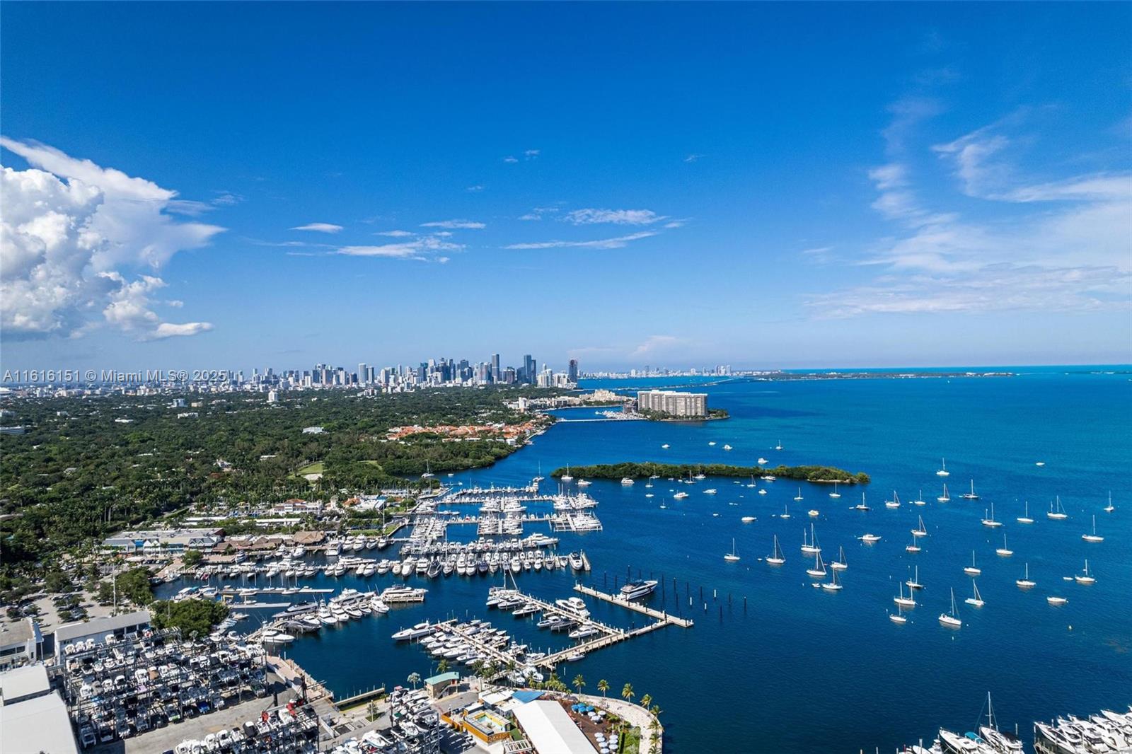 2678 Tigertail Avenue, Unit 1104 Miami, FL 33133 - Photo 49 of 65 a view of a city