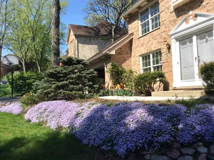 a view of a pathway with a house