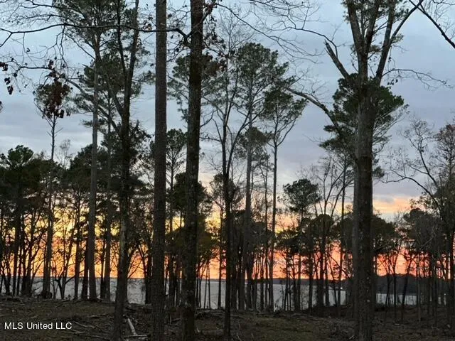 $170,000 | Lot 23 Neptune Shore, Canton, MS 39046