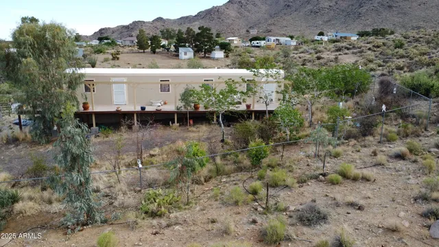 a view of a dry yard with trees