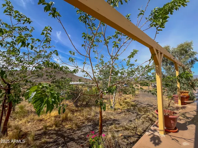a view of a bunch of flowers