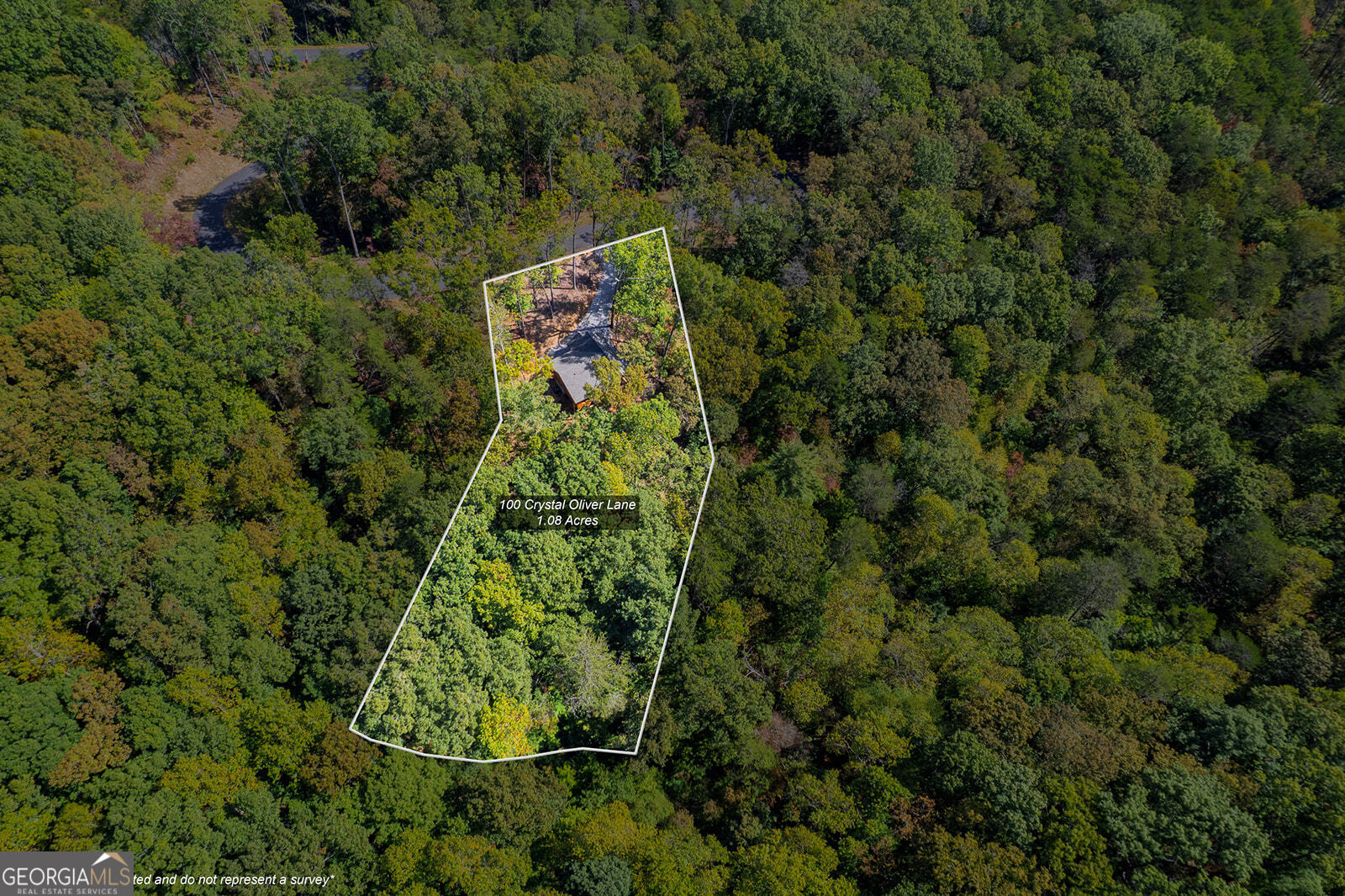 100 Crystal Oliver Lane Blue Ridge, GA 30513 - Photo 34 of 47
