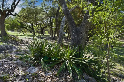 $650,000 | 28337 Leslie Pfeiffer Drive, Boerne, TX 78015