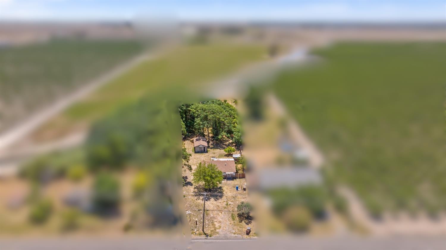 18309 Java Avenue Lemoore, CA 93245 - Photo 2 of 32 a view of a flower