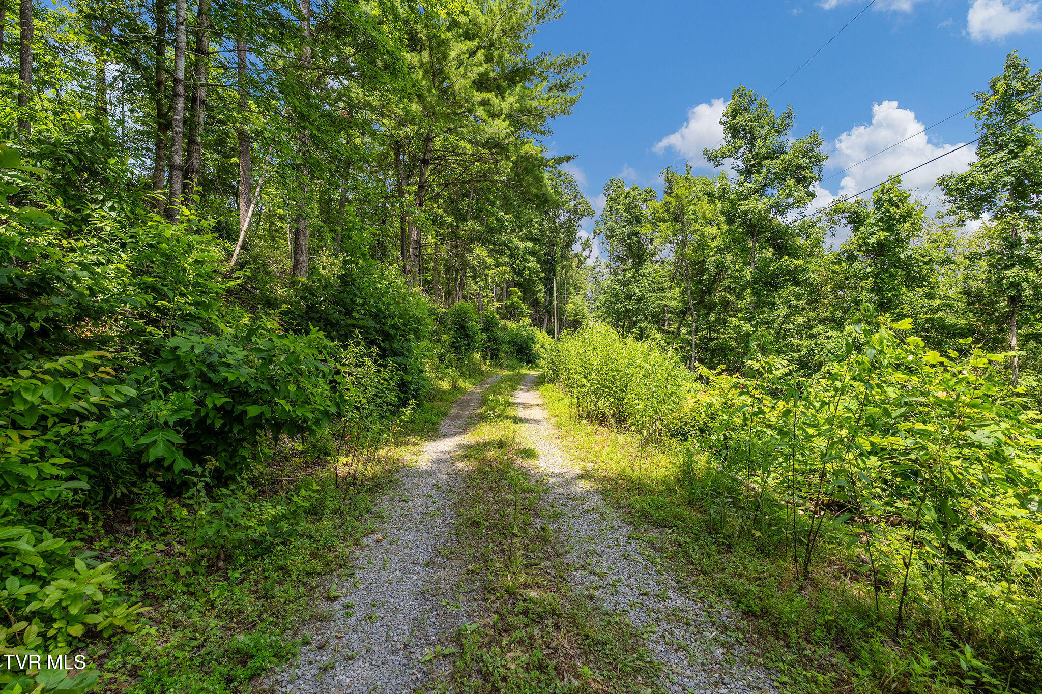 6144 US Highway 421 Bristol, TN 37620 - Photo 33 of 35 DSC07763