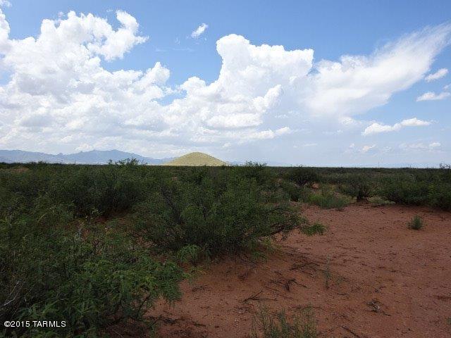 0 East Buck Ranch Road, Unit 60 AC Pearce, AZ 85625 - Photo 2 of 7