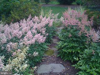 6 Ober Road Princeton, NJ 08540 - Photo 39 of 49 Gallery Image 39