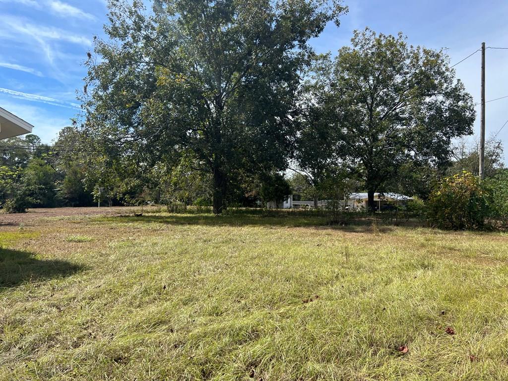 0 Flowers Chapel Road Dothan, AL 36305 - Photo 1 of 3