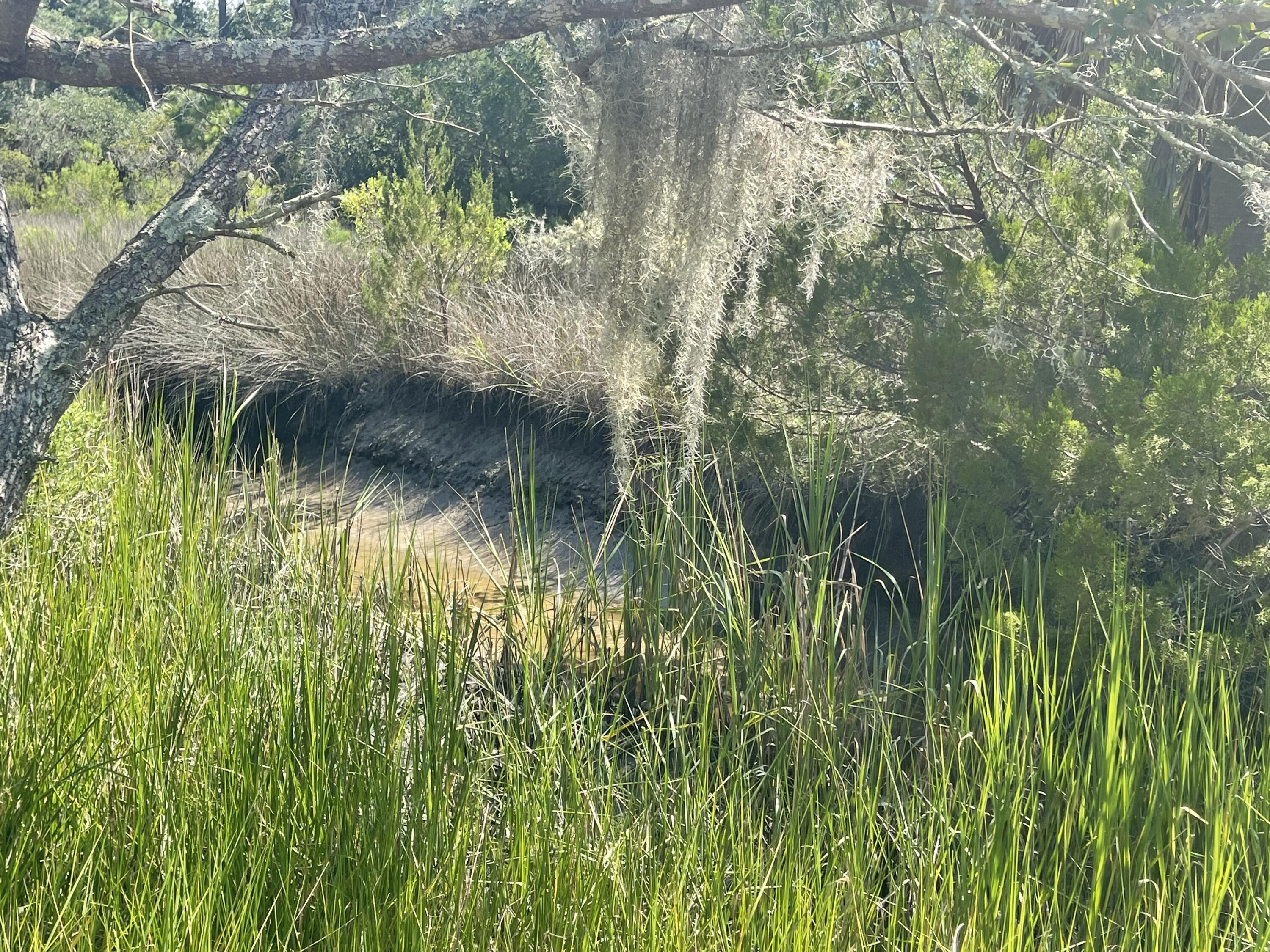 15014 Bennetts Point Road Green Pond, SC 29446 - Photo 26 of 53 IMG_0403