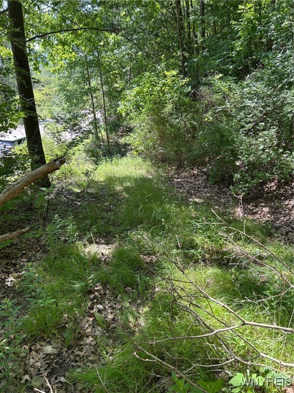 0 Rt-70 Swain, NY 14884 - Photo 11 of 18