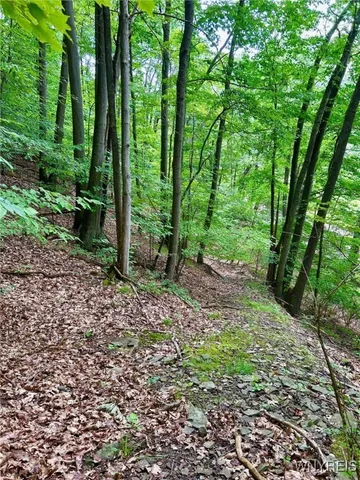 $15,900 | 0 Rt-70, Swain, NY 14884