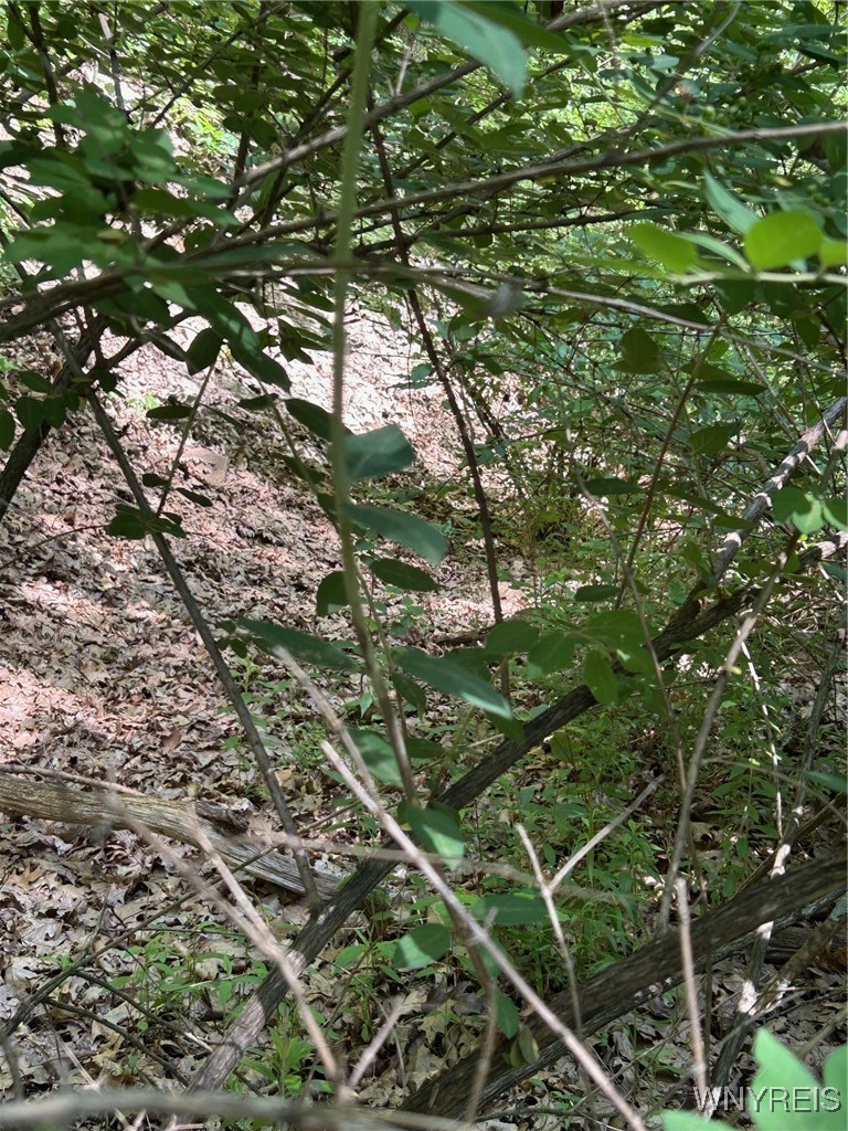 0 Rt-70 Grove, NY 14884 - Photo 14 of 18