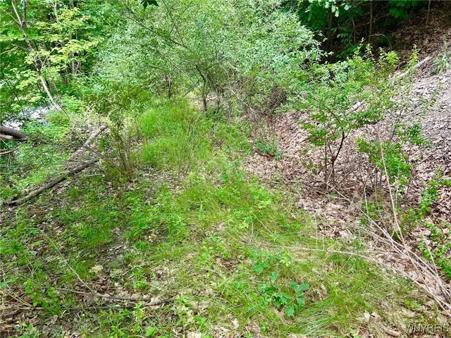 $15,900 | 0 Rt-70, Swain, NY 14884