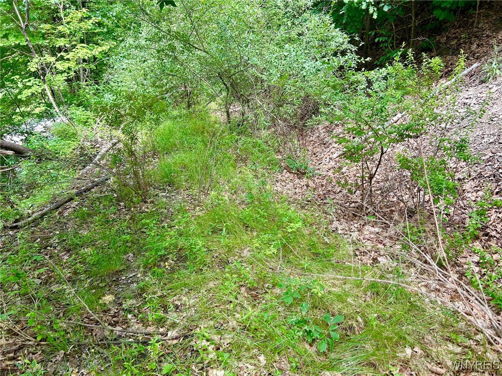 0 Rt-70 Swain, NY 14884 - Photo 15 of 18