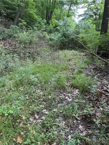 $15,900 | 0 Rt-70, Swain, NY 14884