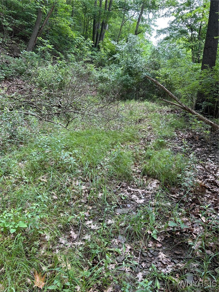 0 Rt-70 Grove, NY 14884 - Photo 16 of 18