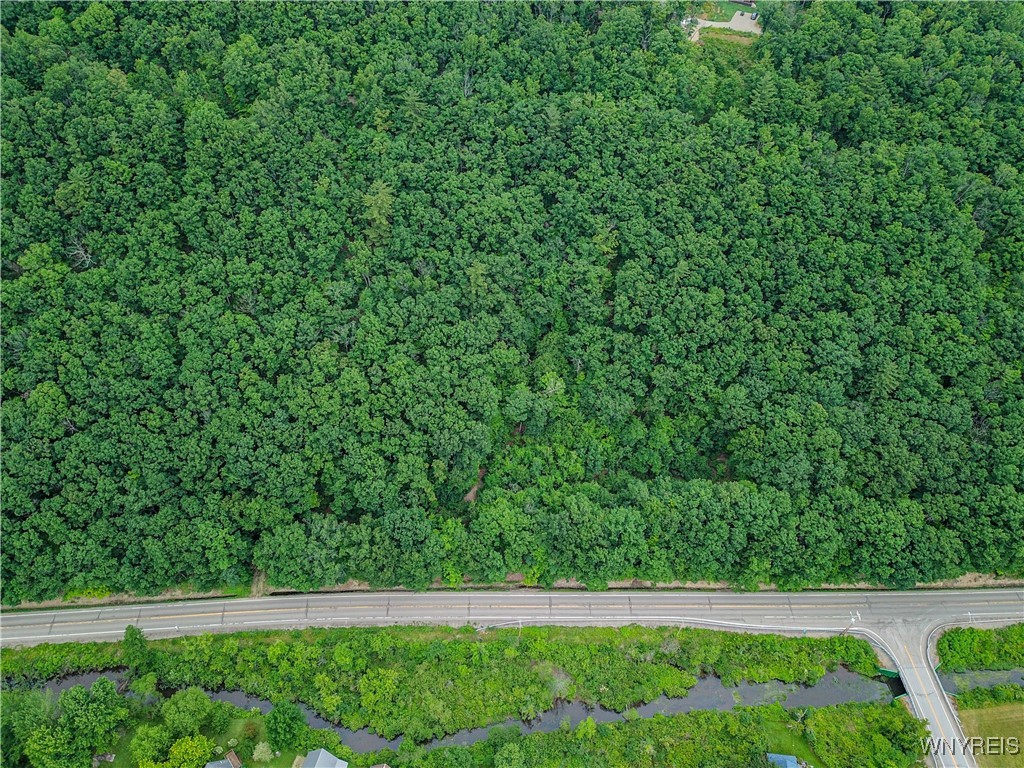 0 Rt-70 Swain, NY 14884 - Photo 4 of 18